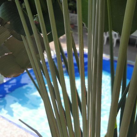 Home Pattaya Hotel מראה חיצוני תמונה
